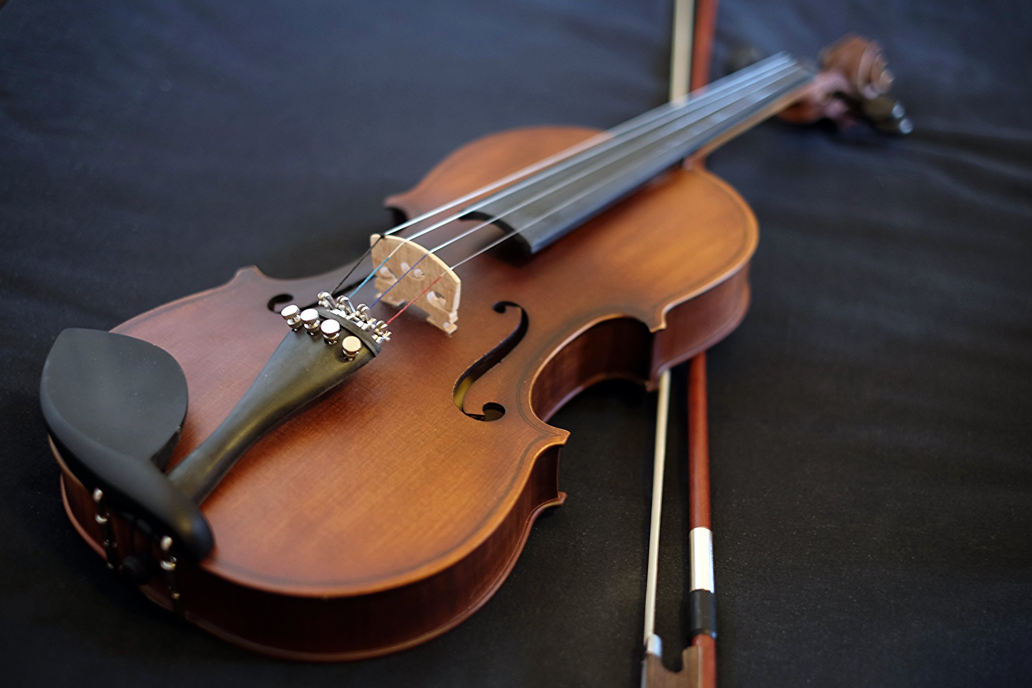 Violín